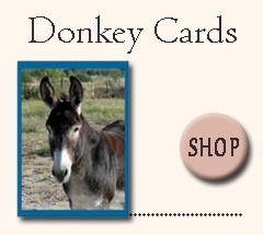 donkey note and greeting cards